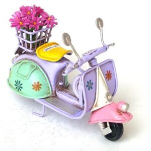 Scooter decorations(metal + plastic)