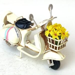 Scooter decoration(metal  + plastic)