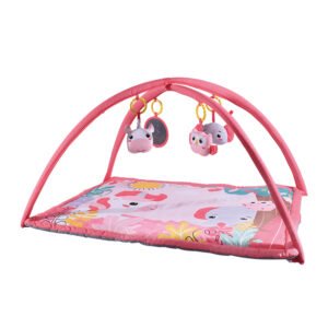 Cocobebe Baby Play Gym & Activity Gym