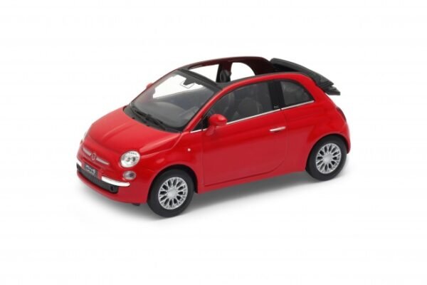 2010 FIAT 500C
