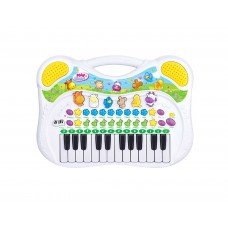 Electronic Toys