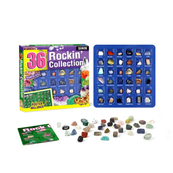 Rockin’ Collection - 36Pcs Middle - Image 2