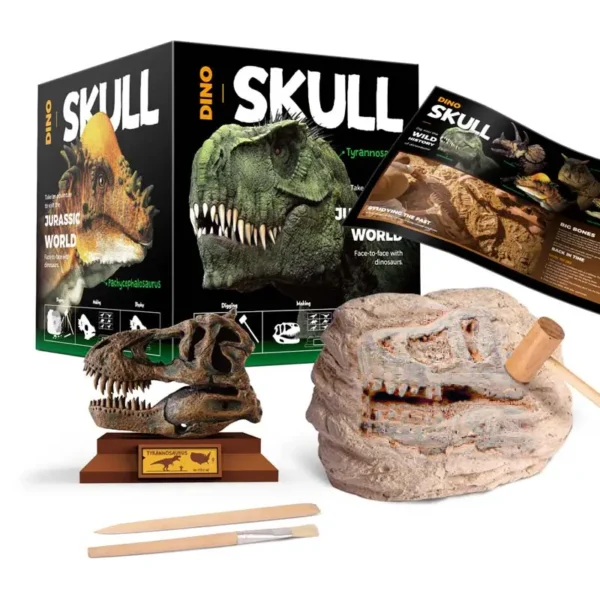Dino Skeleton - Image 2