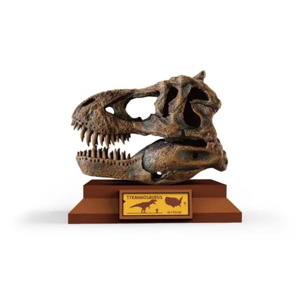 Dino Skeleton - Image 3