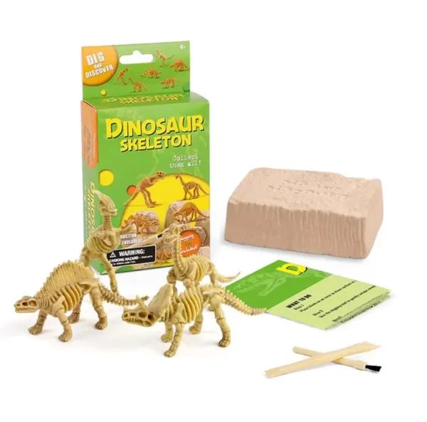 Dinosaur Skeleton - Image 2