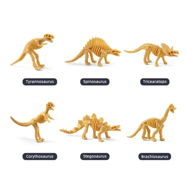 Dinosaur Skeleton - Image 3