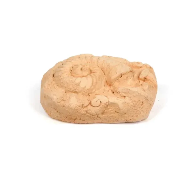 I Dig Fossils - Image 4
