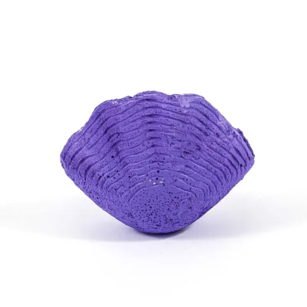 Mermaid Dig Kit - Image 4