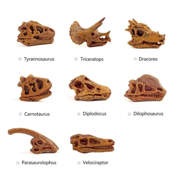 DINOSAUR SKULL - Image 3