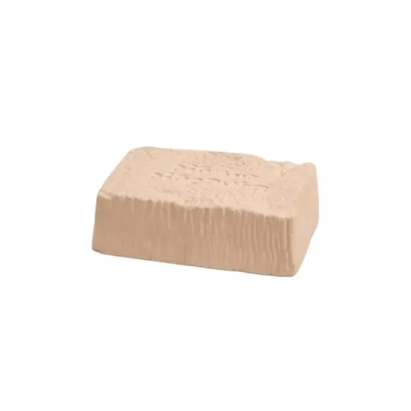 Fossils - Image 5