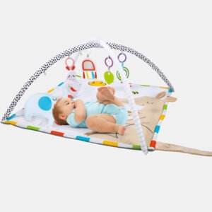 Baby Active Gym