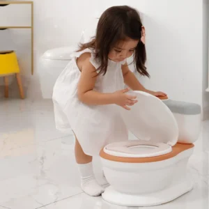 Potty Training Seat