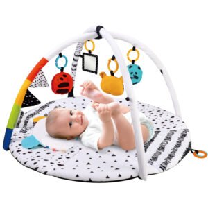 Baby Tummy Time Activity play