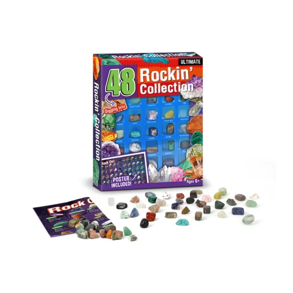 Rockin’ Collection - 48Pcs Senior - Image 5