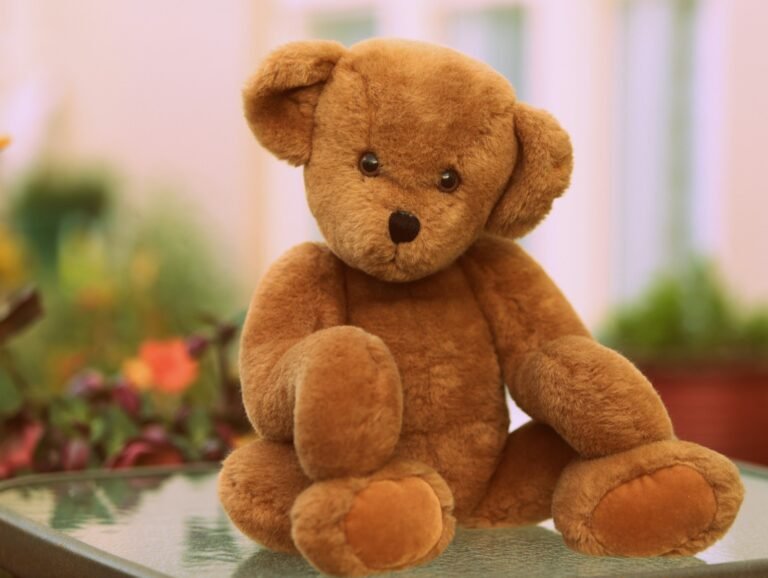 China Teddy Bear
