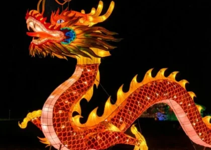 Chinese Dragon Toys