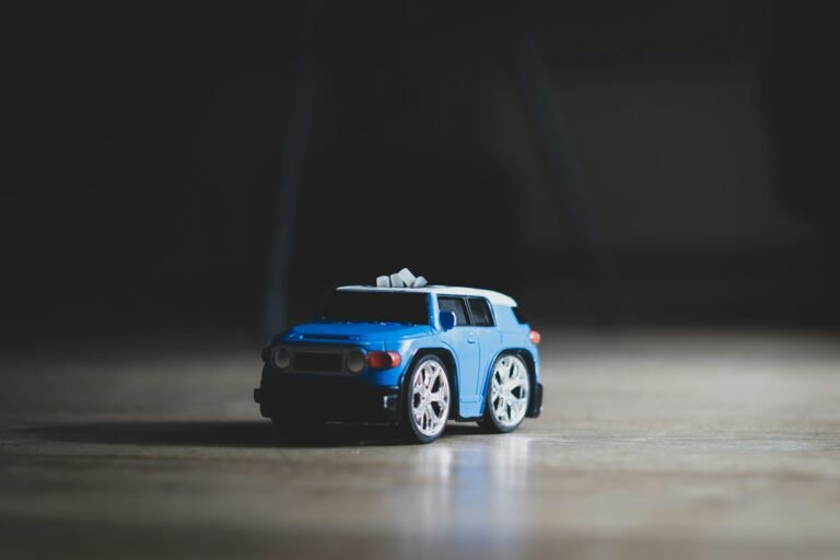 China RC Car