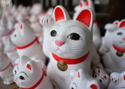 Jellycat china