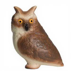 Kawaii Owl Squishy